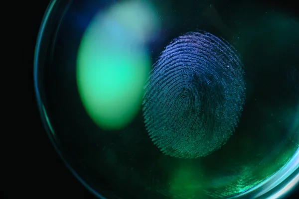 Adobestock 450878959